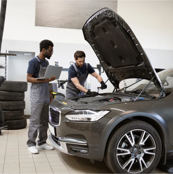 Royal Car Experts